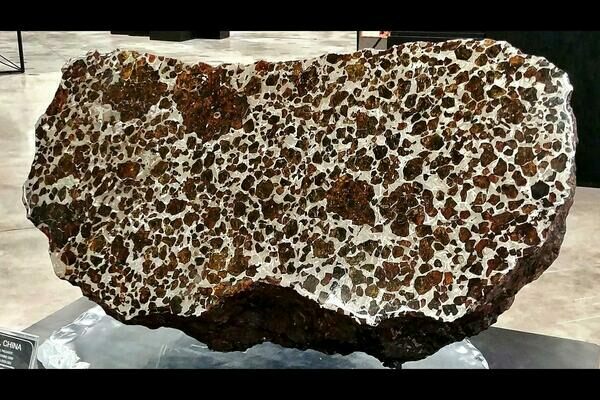 The Fukang meteorite cut to display its massive, gemmy olivine crystals.